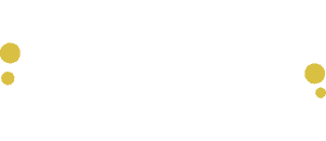 Logo of 'Wild Wattle Digital' featuring stylized white text with the words 'WILD WATTLE' in a bold font, 'DIGITAL' in a lighter font, and two yellow dot accents resembling wattle blossoms, set against a transparent background.